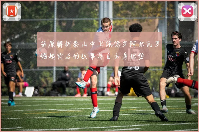 苗原解析泰山中卫佩德罗阿尔瓦罗崛起背后的故事与自由身优势